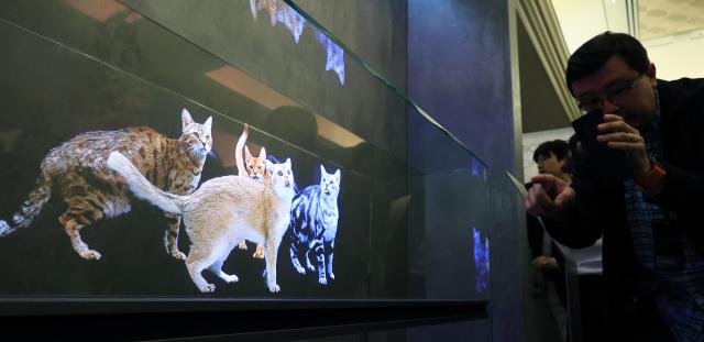 Samsung Electronics showcases futuristic display technologies at CES 2025 Yonhap