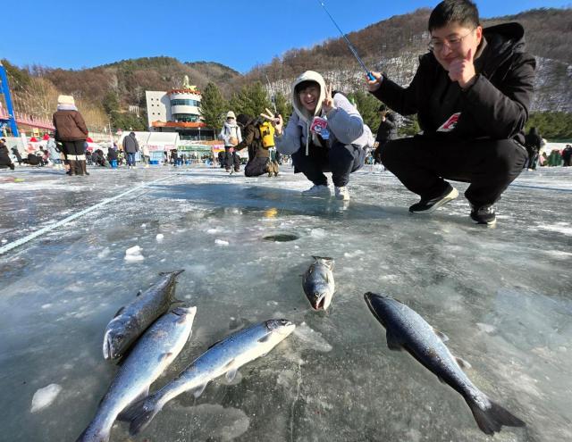 2025산천어축제에서 외국인 관광객이 낚시를 하며 즐거워 하고 있다  연합