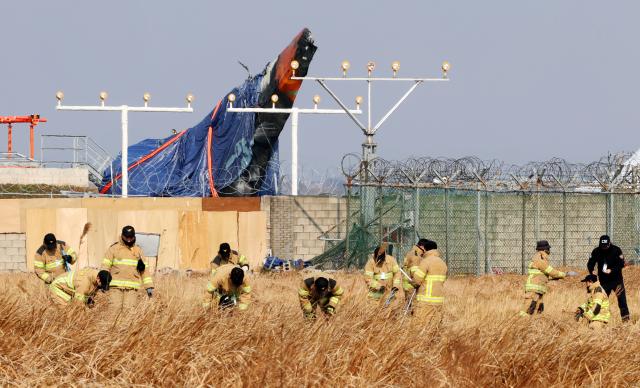 제주항공 참사 15일째인 12일 오후 전남 무안국제공항에서 소방대원들이 사고 현장 인근에서 수색 작업을 하고 있다 2025112 사진연합뉴스