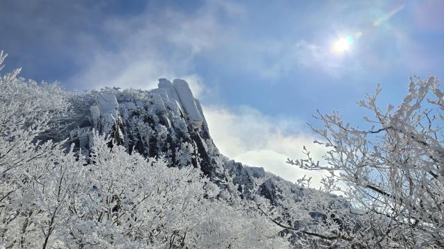 PHOTOS: Snow transforms Koreas national park into winter wonderland 