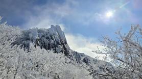 PHOTOS: Snow transforms Korea into winter wonderland 
