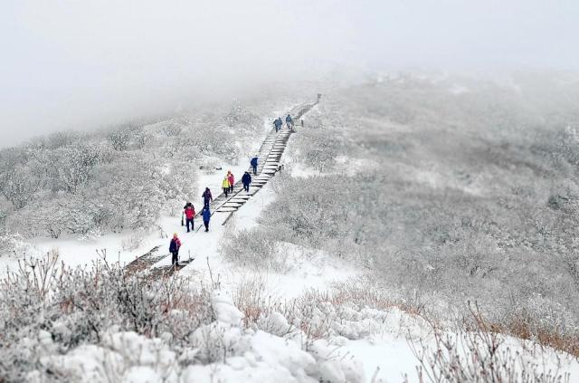 Hikers climb a snowy Nogodan in Jirisan Mountain Gurye-gun Jeollanam Province on the 12 YONHAP
 지난 12일 전남 구례군 지리산 노고단에서 등산객들이 눈쌓인 산을 오르고 있다 