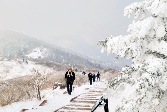 Hikers climb a snowy Nogodan in Jirisan Mountain Gurye-gun Jeollanam Province on the 12 YONHAP
 지난 12일 전남 구례군 지리산 노고단에서 등산객들이 눈쌓인 산을 오르고 있다 