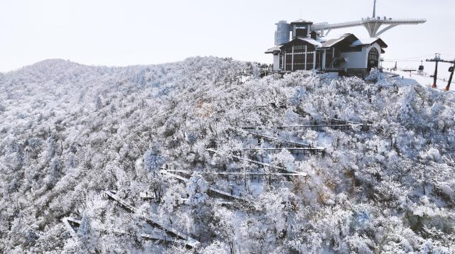 Baekwangsan Cheonnyeonjunmok Forest Trail Pyeongchang Gangwon Province Courtesy of Pyeongchang County