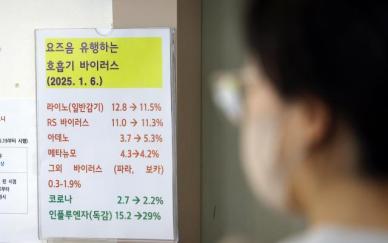 독감 비상 올바른 대응법과 예방법