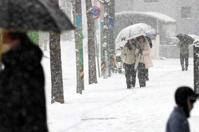 대설 특보가 발표된 7일 오전 눈이 내리는 광주 북구청 일대에서 시민들이 우산을 쓰고 걷고 있다 사진연합뉴스