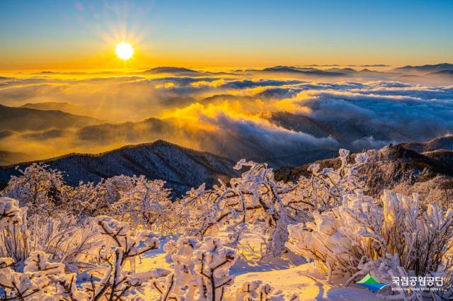 Honorable Mention Winter Snowy Landscape of Gyebangsan by Jeong Hyeon-seok Courtesy of the Korea National Park Service
