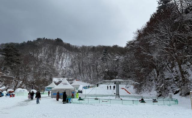 포천백운계곡 동장군축제를 즐기는 사람들 사진김다이 기자