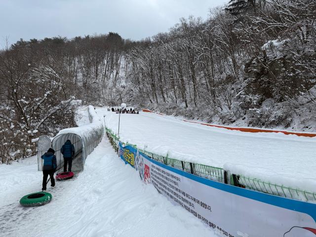 동장군축제 눈썰매장 사진김다이 기자