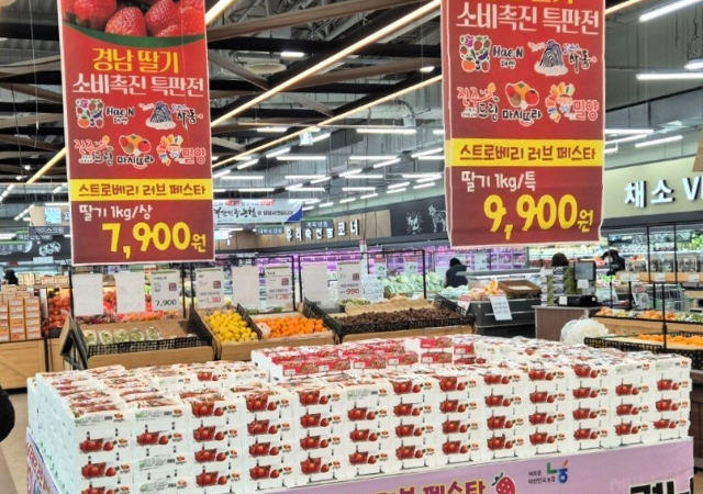 경상남도와 경남농협은 지난달 31일 설 연휴 직후 경남 딸기 주산지에서 출하를 앞둔 대기 물량을 소진하고 가격 안정화와 경남 딸기 우수성 홍보를 위해 소비촉진 행사를 마련했다사진 경남농협