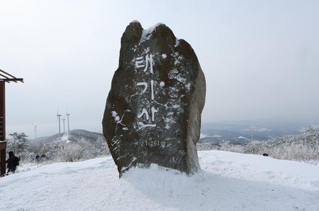 상고대