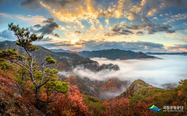 PHOTOS: Award-winning photos capture beauty of Koreas national parks