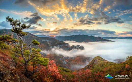 PHOTOS: Award-winning photos capture beauty of Koreas national parks