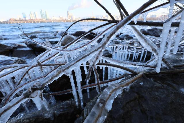 PHOTOS: Cold wave hits Korea as temperatures plunge