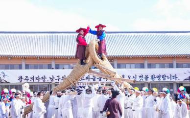 정원대보름 앞두고 광주 칠석동에서 고싸움놀이