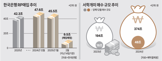 그래픽남보라 기자