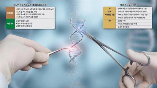 [노화의 미래기술] 재생의학으로 다시 쓰는 인류의 생명시계