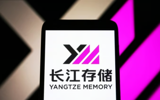 【亚洲人之声】中韩半导体技术联姻为两国产业合作提供范本