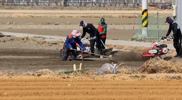 PHOTOS: Spring is in the air in Gangneung