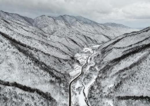 PHOTOS: Snowfall blankets South Korea in early spring