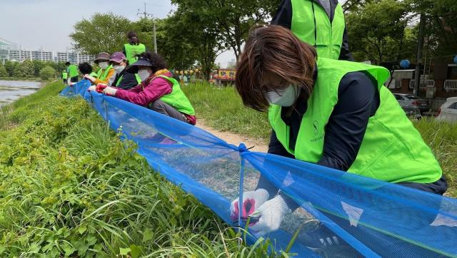 대구시 수성구는 지난달 13일 욱수동 망월지 일대에서 두꺼비 로드킬 방지 펜스 설치행사를 진행했다 사진대구수성구