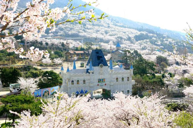 경남 진해 벚꽃 사진한국관광공사