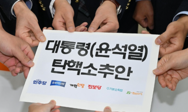 尹 정부 들어 탄핵안 29건 발의...기각 처리만 8건