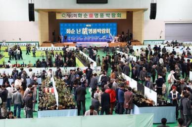 화순 난(蘭)명품 박람회 성대하게 치러져