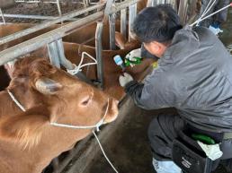 동대문구 아파트 공사장서 화물차 운전자 공사자재 깔려 숨져