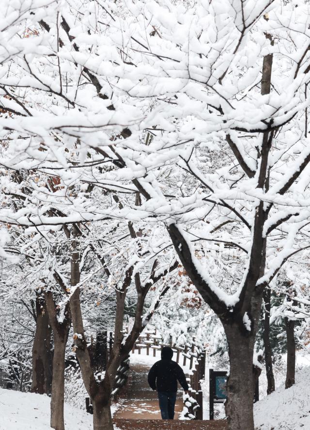 눈이 내린 18일 경기도 수원시 한 공원에서 시민이 눈 쌓인 산책로를 걷고 있다 연합뉴스