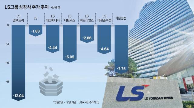 지난 5일 구자은 LS 회장이 인터배터리에서 중복상장 관련 부적절한 발언을 한 이후 떨어진 LS그룹 주가 추이 사진아주경제 DB