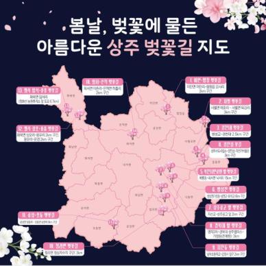 상주시, 비박페스티벌과 함께 벚꽃길 SNS 인증 이벤트