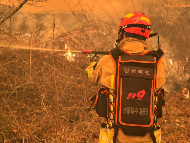 경북 의성군 안평면 괴산리 야산 산불 진화 장면 사진경상북도 소방본부