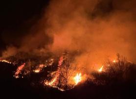 Multiple wildfires sweep South Korea, two firefighters perish