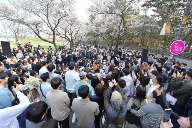 지난해 열린 대릉원 돌담길 벚꽃축제 현장 장면 사진경주시