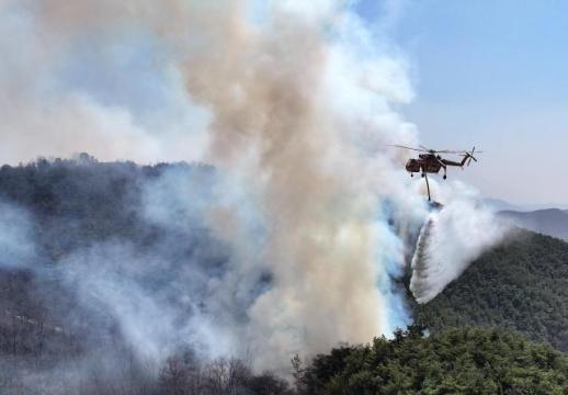 4 dead, thousands evacuated as wildfires ravage southeastern S. Korea