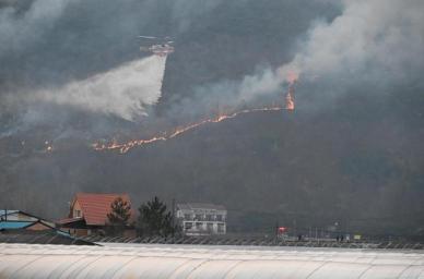 [포토] 산불 진압하는 헬기