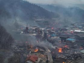 At least 24 dead as wildfires devastate southern South Korea