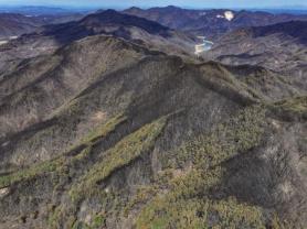Man booked for allegedly sparking wildfires in southern region