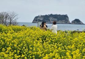 PHOTOS: Spring flowers delight citizens