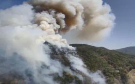 Wildfire erupts again in Southern Korea, weeks after major blaze