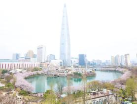 PHOTOS: Cherry blossoms at Seouls Seokchon Lake
