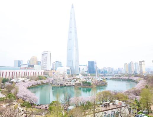 PHOTOS: Cherry blossoms at Seouls Seokchon Lake