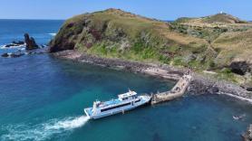 PHOTOS: Spring on Jeju Island