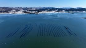 Koreas dried seaweed exports hit new records in first quarter