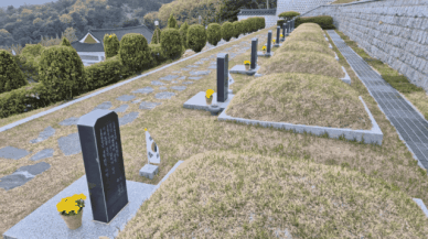 보훈부, 국립묘지 친환경 꽃 비치 확산 나선다