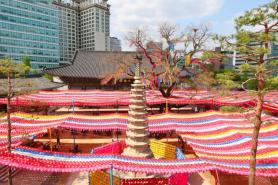 VISUALS: Lanterns, festivities herald Buddhas Birthday