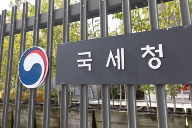6월 2일까지 종합소득세 신고·납부…산불·제주항공 피해자 기한 연기