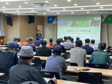고품질 상주 가지 생산 위한 전문교육 실시