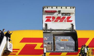 DHL 800달러 이상 물품 미국 배송 재개